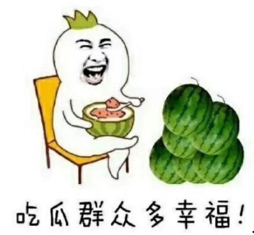 吃瓜看娱乐